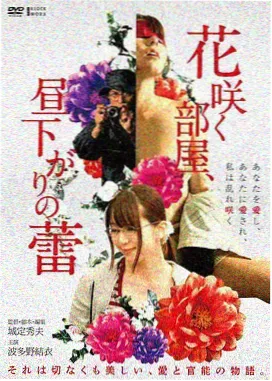 风起洛阳剧集封面