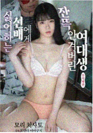 迷雾追踪封面